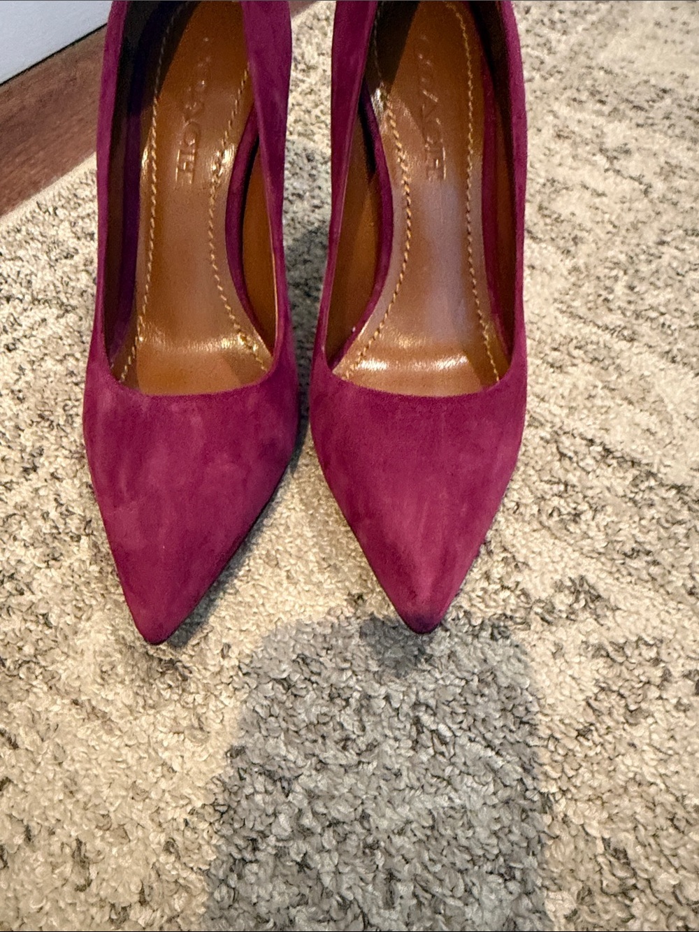 Coach Wine Suede Pointed-Toe Stiletto Pumps - Picture 2 of 9